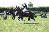 UKPA NC SAT_2278